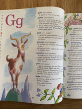 Oxford First Illustrated Dictionary