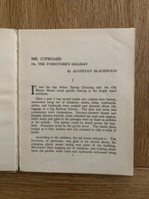 Mr Cupboard or The Furniture's Holiday