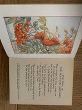 Flower Fairies of the Autumn