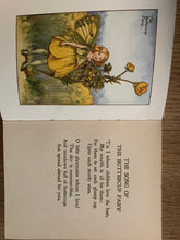 Flower Fairies of the Summer