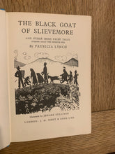 The Black Goat of Slievemore and Other Irish Fairy Tales