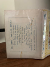 Flower Fairies of the Autumn