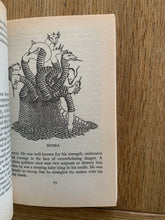 A Dictionary of Monsters and Mysterious Beasts