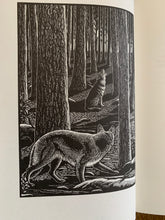 The Call of the Wild - Folio Society in slipcase