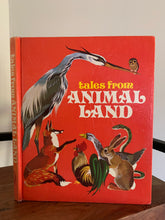 Tales From Animal Land