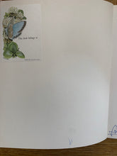 The Sad Story of Veronica Who Played the Violin (signed with doodle)