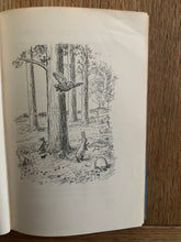 The House at Pooh Corner