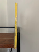 Alice Through the Looking Glass