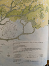 Time Now to Dream (double signed)