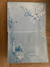 Flower Fairies of the Spring