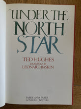 Under The North Star