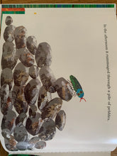 The Very Clumsy Click Beetle