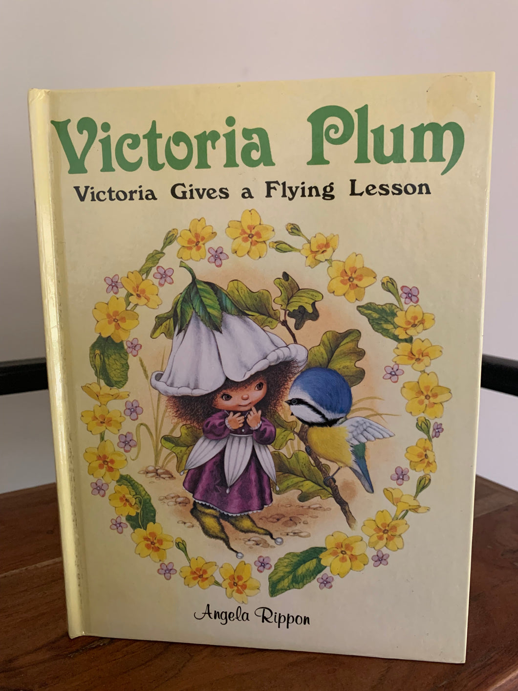 Victoria Plum - Victoria Gives a Flying Lesson