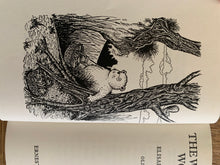 The Wandering Wombles