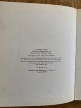 Jeremiah in the Dark Wood