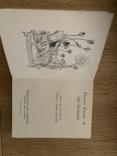 Flower Fairies of the Summer