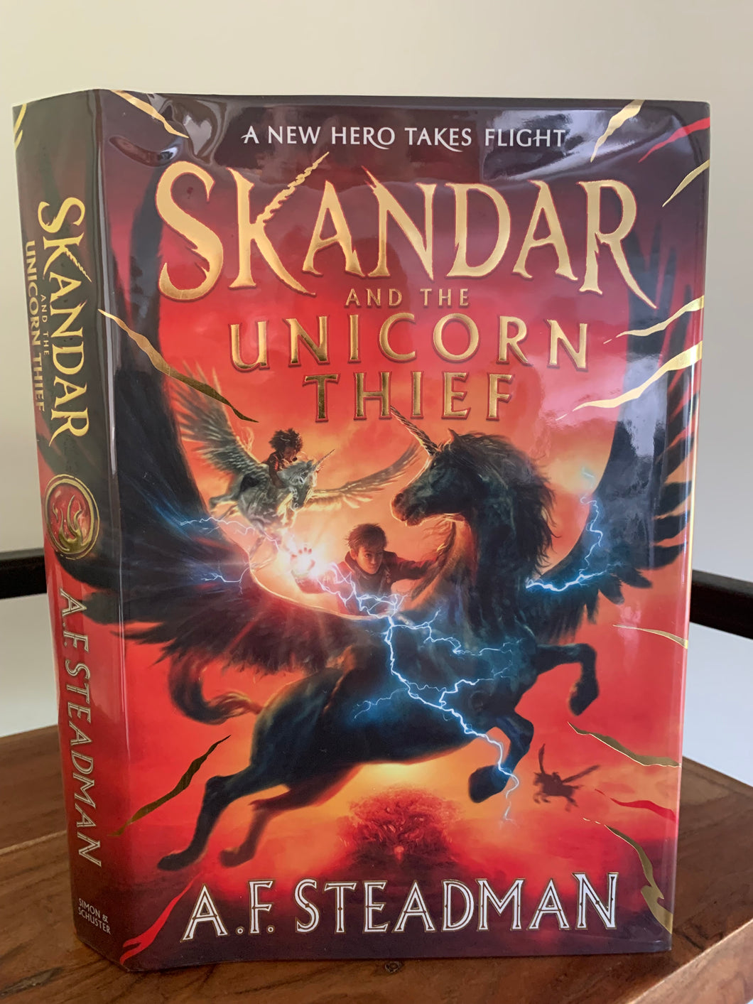 Skandar and the Unicorn Thief