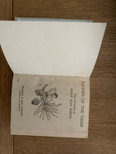 Fairies of the Trees