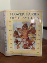 Flower Fairies of the Autumn