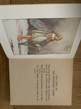 Flower Fairies of the Spring