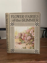 Flower Fairies of the Summer