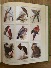 The Owl and the Pussycat and other nonsense