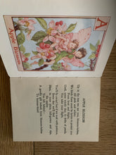 A Flower Fairy Alphabet