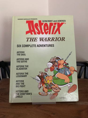 Asterix The Warrior