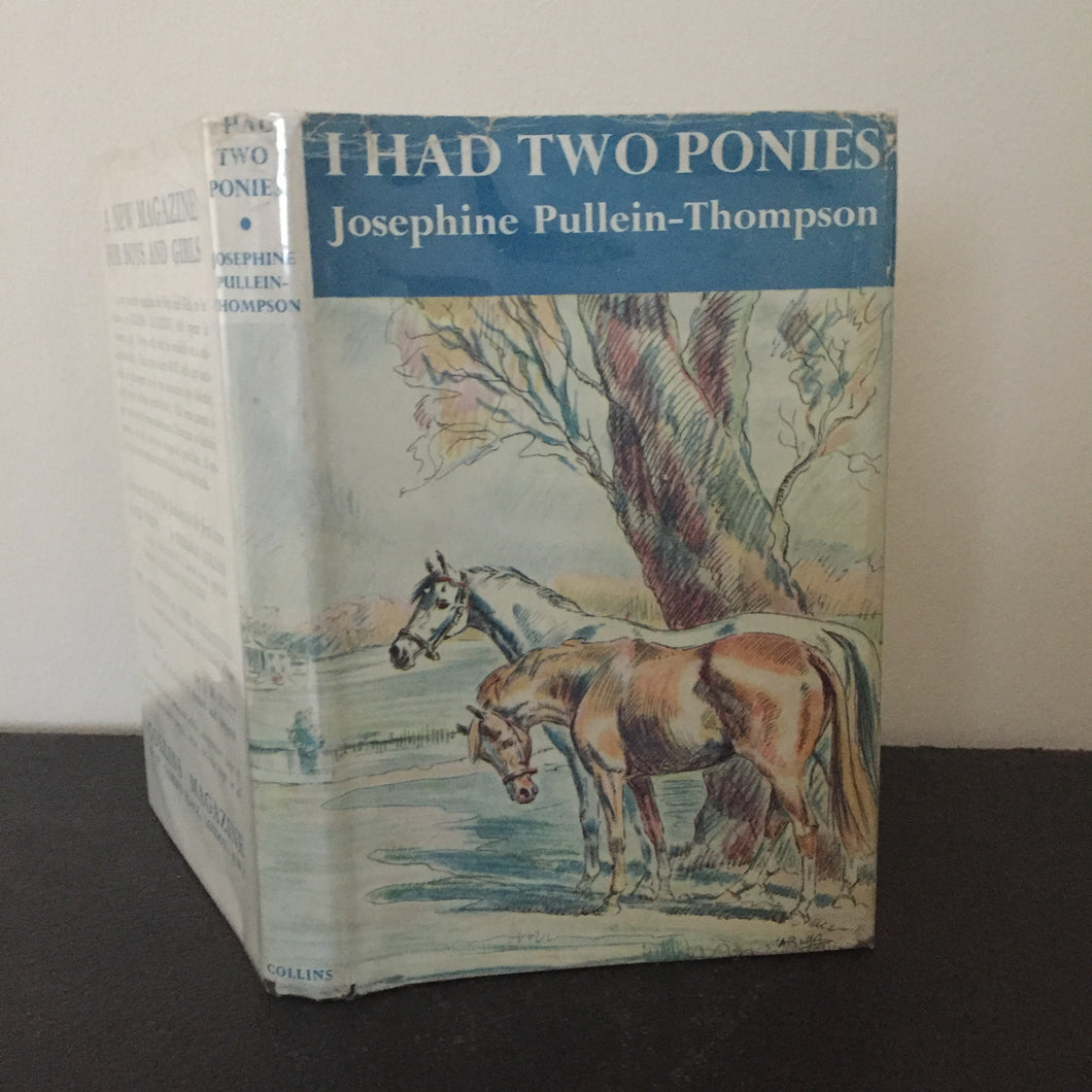 I Had Two Ponies