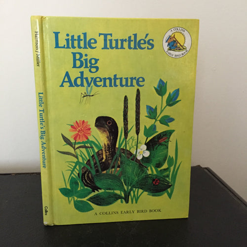 Little Turtle’s Big Adventure
