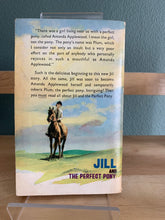 Jill and the Perfect Pony